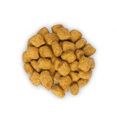 Hill's Science Plan Oral Care сухой корм для ухода за полостью рта у взрослых кошек, с курицей 1,5 к