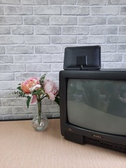 ТВ АНТЕННА КОМНАТНАЯ ЦИФРОВАЯ АКТИВНАЯ НАПРАВЛЕННАЯ ТРИАДА-3301/antenna.ru