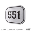 Номерок на дверь квартиры 551, для кабинета, офиса, шильдик 9 х 7 см, серебристый, Айдентика Технолоджи