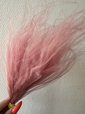 Ковыль стифа Клубничное мороженное