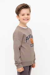 джемпер  для мальчика  КР 302392/коричневый