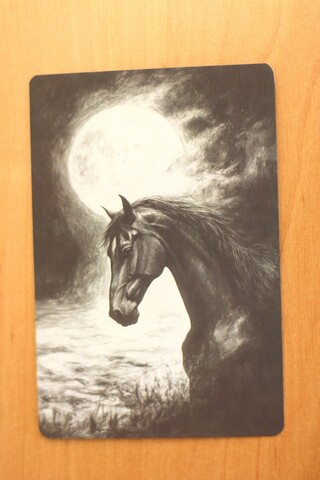 Полнолуние