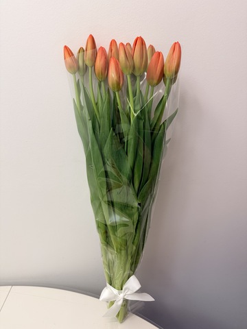 Тюльпаны оранжевые букет 15 штук