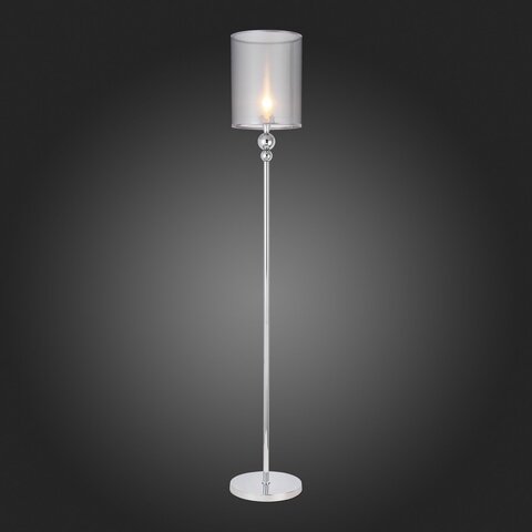 Торшер Evoluce Pazione SLE107105-01