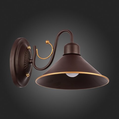 Светильник настенный Evoluce Ciolla SLE120401-01