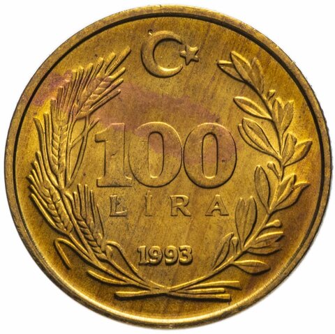 100 лир. Турция. 1993 год. AU