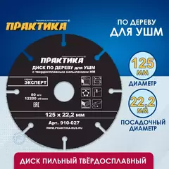 Диск по дереву с твердосплавным зерном ПРАКТИКА 125 х 22 мм для УШМ (910-027)