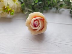 Силиконовая форма 