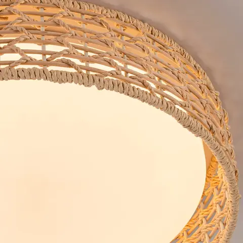 Потолочный светодиодный светильник F-Promo Conrad 4749-4C