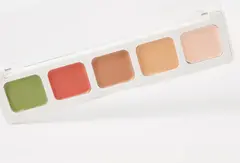 LavelleCollection Набор консилеров NB-CK Conseal kit