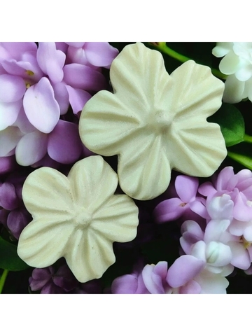 Молд пластиковый 