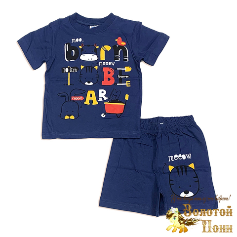 Костюм хлопок м (1-4) 260324-VT856