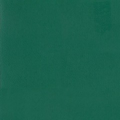Линолеум спортивный Tarkett Omnisports Excel Forest Green 2x20,5 м
