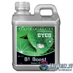 CYCO Platinum Series CYCO B1 Boost 1 л