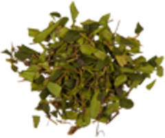 Зимолюбка зонтичная (трава, 50гр.)  (Старослав)