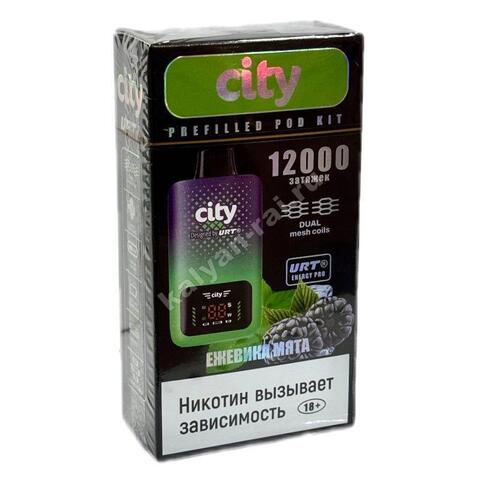 City Energy Pro URT POD Kit - Ежевика Мята 12000 затяжек