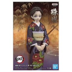 Фигурка Клинок Рассекающий Демонов Kimetsu No Yaiba Tamayo Vol.22 0045557120801