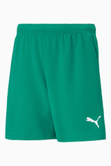 Шорты Puma teamRISE Junior
