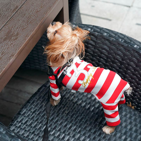 267 PA-OR Костюм спортивный "33", унисекс