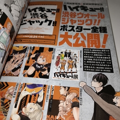 Артбук Haikyuu!! 10th Chronicle (на японском языке)