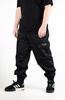Утеплённые джоггеры BLK Crown Cansas fur black