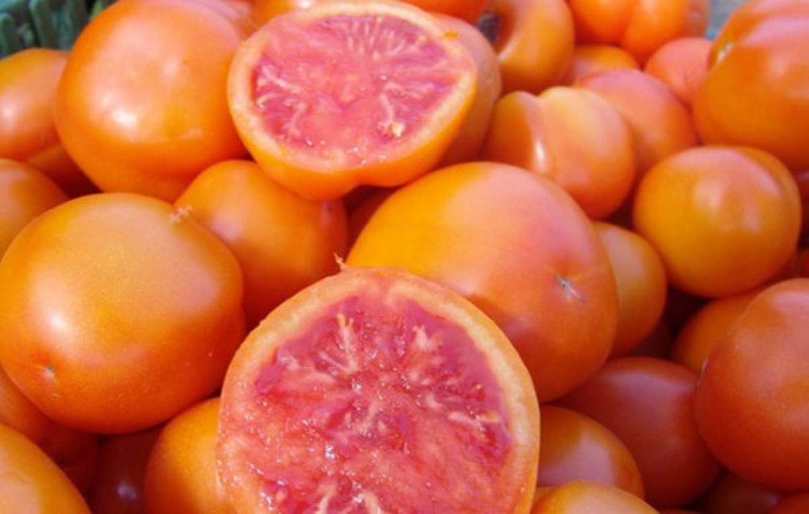 Семена томат Златава