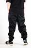 Утеплённые джоггеры BLK Crown Cansas fur black