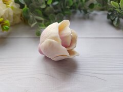 Силиконовая форма 