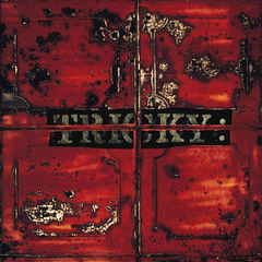 Tricky / Maxinquaye (LP)