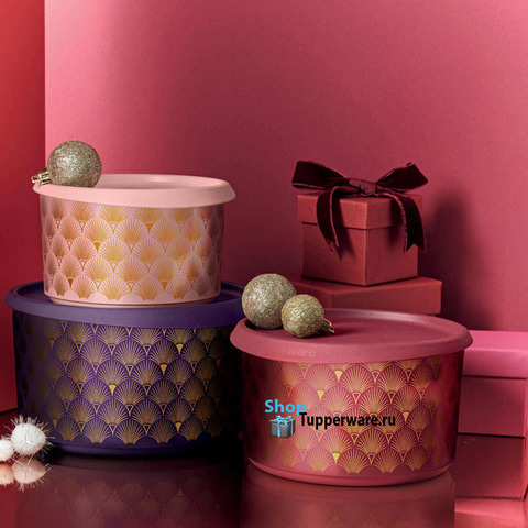 Контейнеры Гэтсби Tupperware рис.7