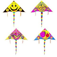 Воздушный змей  Летучая мышь 5439506