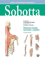 Sobotta. Таблицы мышц, суставов и нервов