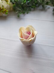 Силиконовая форма 