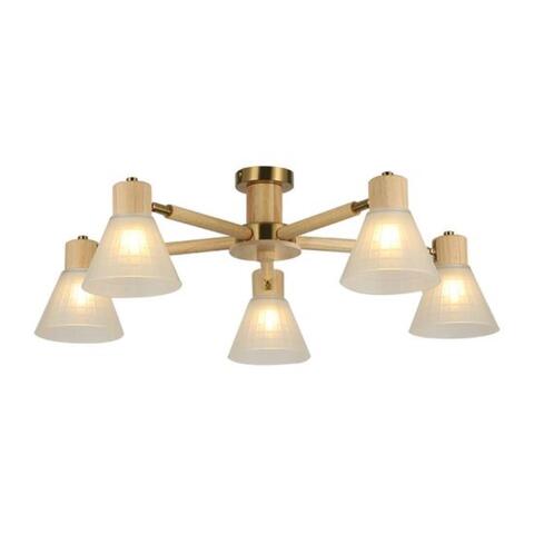 Cветильник потолочный Arte Lamp Meleph A4096PL-5BR
