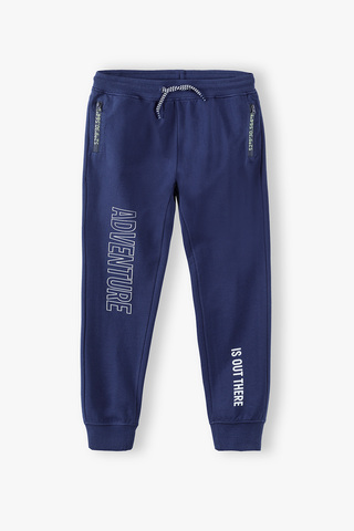 Брюки спортивные для мальчиков LINCOLN & SHARKS