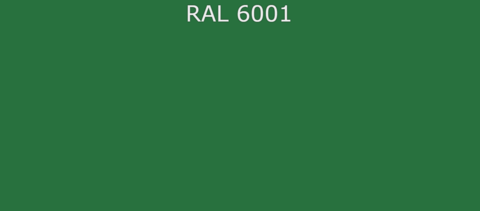 RAL6001