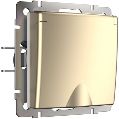 Розетка Werkel WL11-SKGSC-01-IP44 шампань (з/к с крыш. со шторками)