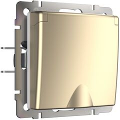 Розетка Werkel WL11-SKGSC-01-IP44 шампань (з/к с крыш. со шторками)