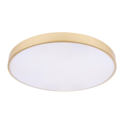 Потолочный светодиодный светильник Loft It Flims 10228/B