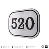 Номерок на дверь квартиры 520, для кабинета, офиса, шильдик 9 х 7 см, серебристый, Айдентика Технолоджи