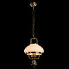Подвес Arte Lamp Armstrong A3560SP-1AB