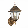 Светильник уличный ST Luce Domenico SL082.201.01