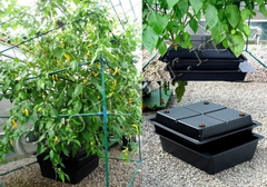 Amazon AEROPONICS,