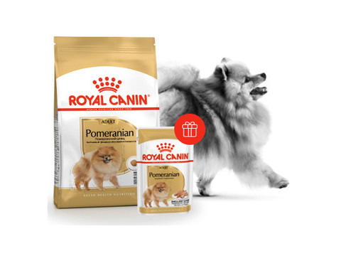 ПРОМО! Royal Canin POMERANIAN Adult сухой корм для собак породы померанский шпиц 0,5кг + пауч 85г