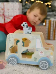 Развивающий сортер 