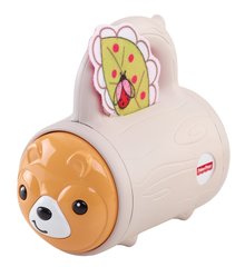 Fisher Price Погремушка 