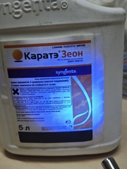 Каратэ Зеон