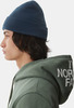 Картинка шапка The North Face Dock Worker Recycled Beanie Monterey - 2