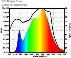 LED светильник Citizen 200w COB Full Spectrum