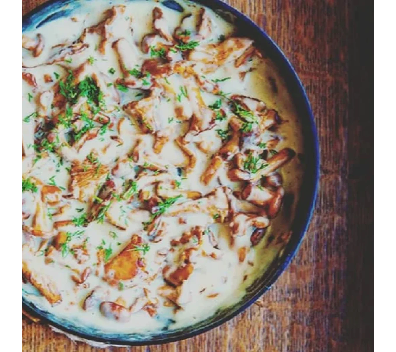 Лисички в сметане на сковороде. Лисички с курицей в сметане на сковороде. Лисички в сметане на сковороде. Лисички с курицей в сметане на сковороде. Лисички со сметаной и курицей.